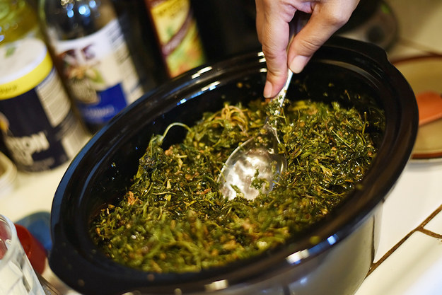 Add the cannabis to oil and stir until all the inflorescences are well covered