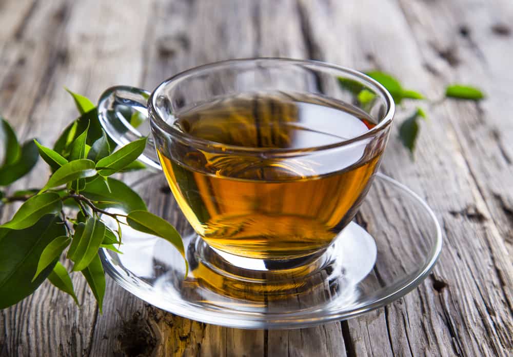 תה קנאביס, אייס טי קנאביס, cannabis tea, cannabis ice tea, תה מריחואנה