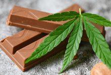 chocolate bars with cannabis