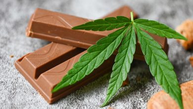 chocolate bars with cannabis